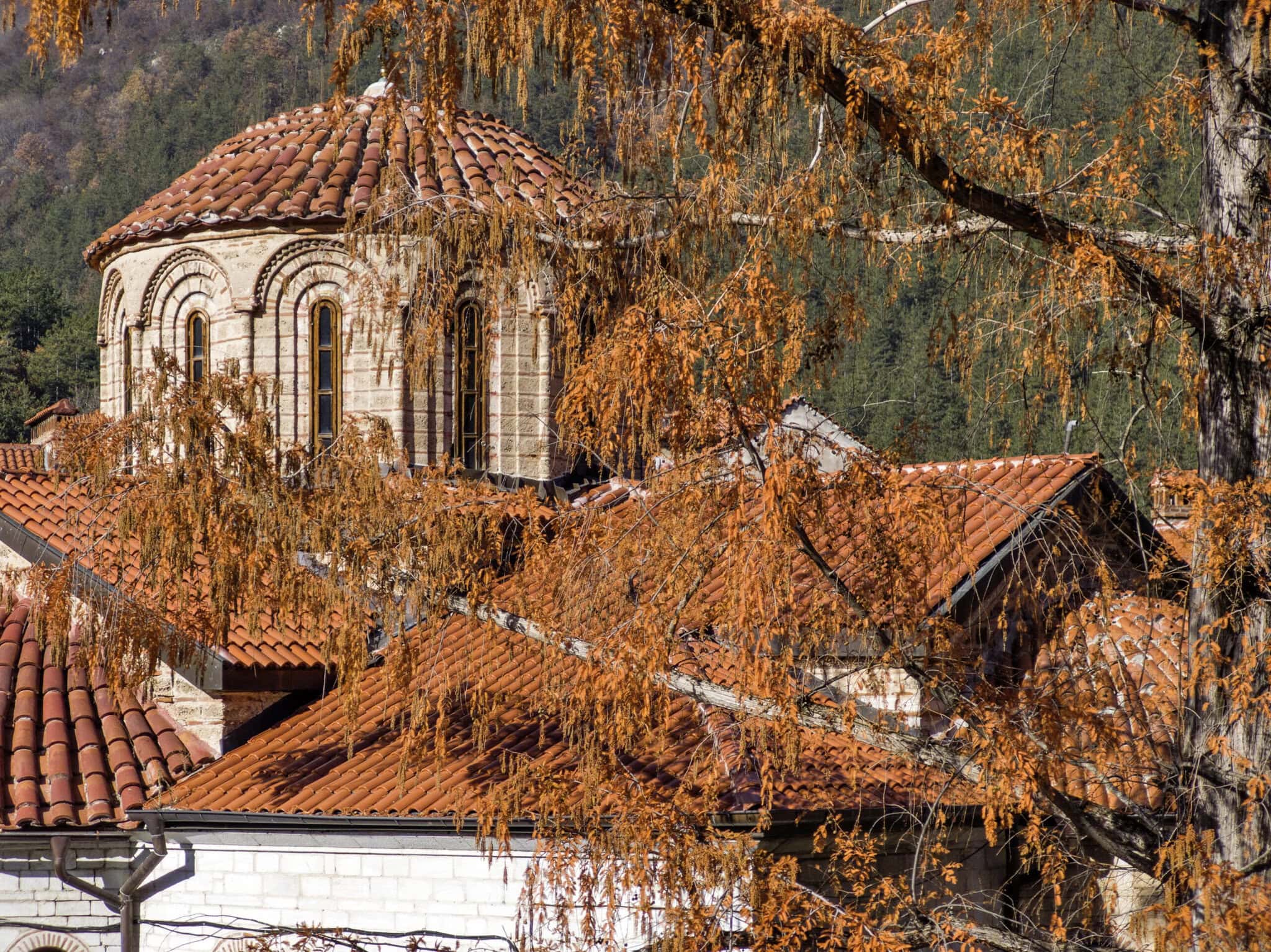 Bachkovo Monastery