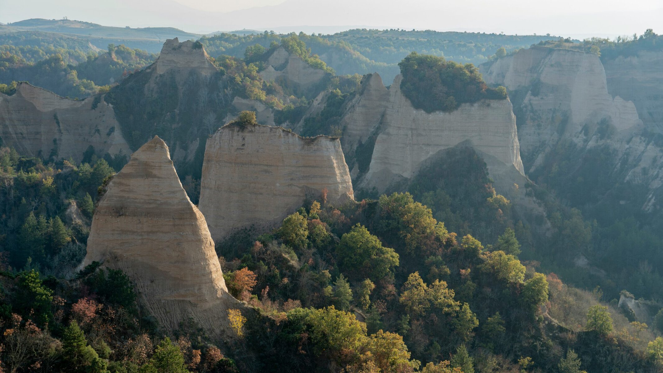 melnik